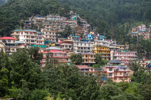 Kleurrijke Huizen Een Groen Dennenbos Himalaya Bergen Dharamsala India Dennenhout — Stockfoto