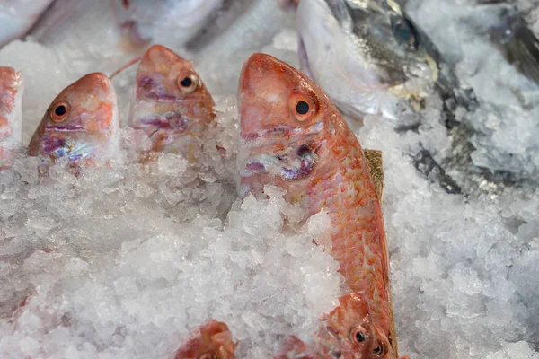 Roher Fisch Auf Eis Der Auf Dem Wochenmarkt Verkauft Wird — Stockfoto