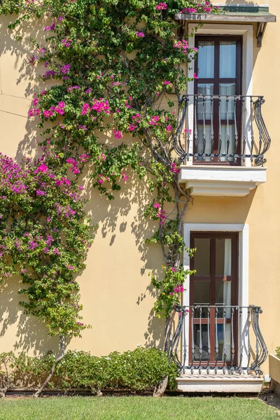Ramen Met Balkon Gevel Met Gietijzeren Ornamenten Bloemenboom Aan Muur — Stockfoto