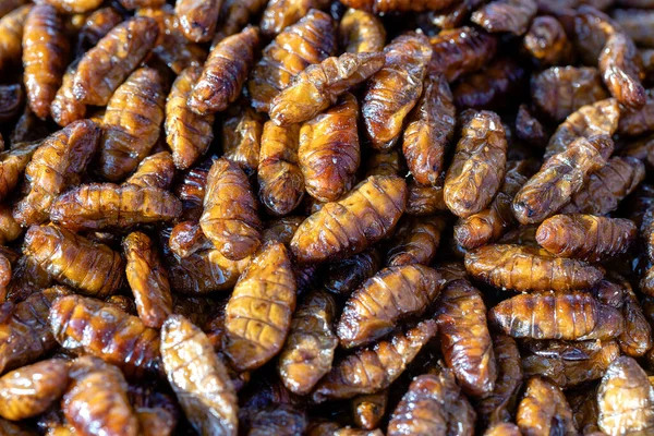 Gusanos Seda Fritos Deliciosos Comida Callejera Tailandia Fríen Profundamente Hasta —  Fotos de Stock