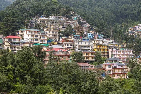 Hindistan Dharamsala Kentindeki Himalaya Dağlarında Renkli Evler Yeşil Bir Çam — Stok fotoğraf