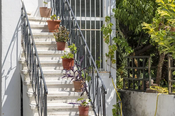 계단을 꽃병을 근처의 마당에 닫는다 그리스 — 스톡 사진