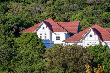 Dağ Ormanı ve Beyaz Saray manzarası, Vietnam