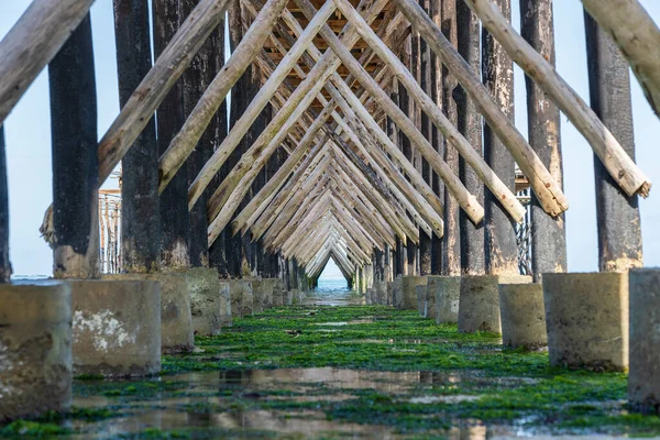 Timber Piles Wooden Bridge Close Ocean Low Tide Coast Island — Stock Photo, Image