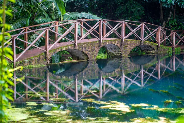 Puente Arqueado Sobre Lago Con Reflexión Tanzania África Oriental Pasarela — Foto de Stock