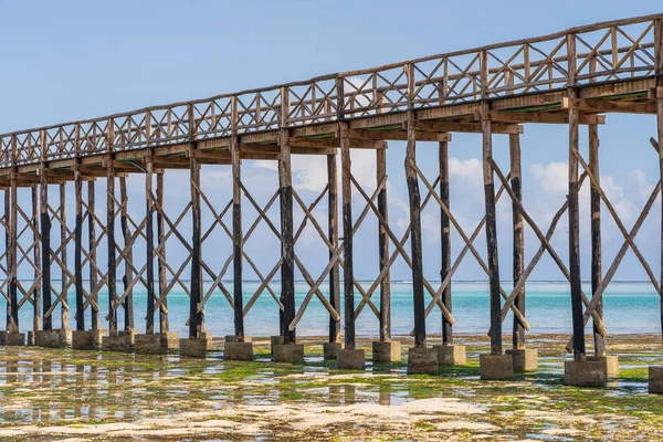Timber piles of wooden bridge close-up during ocean low tide. Coast of island Zanzibar, Tanzania, East Africa — Stock Image Timber Piles Wooden Bridge Close Ocean Low Tide Coast Island Royalty Free Stock Photos