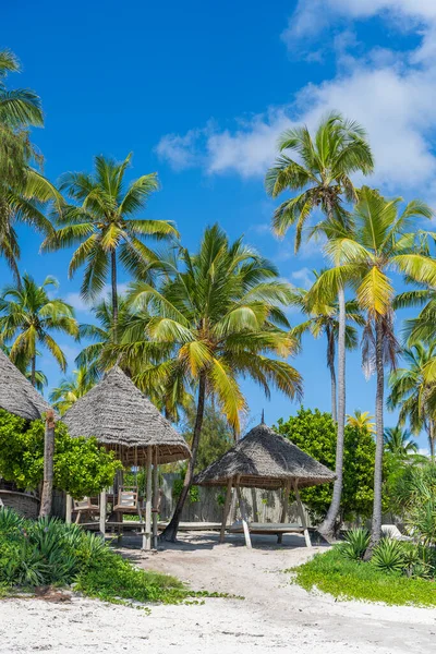 Praia Tropical Com Coqueiros Ilha Zanzibar Tanzânia África Oriental Conceito — Fotografia de Stock