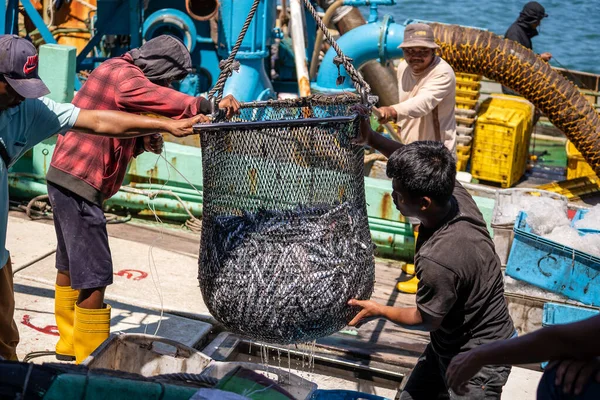 マレーシアのコタキナバル 2020年2月25日マレーシアのサバ州コタキナバルのストリートフィリピン市場で 漁船から獲れた新鮮な魚をプラスチック容器に入れる — ストック写真