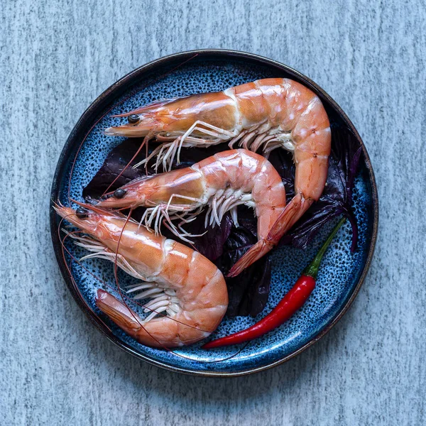 Τρεις Βραστές Γαρίδες Κόκκινη Καυτερή Πιπεριά Τσίλι Μπλε Φόντο Πιάτο — Φωτογραφία Αρχείου