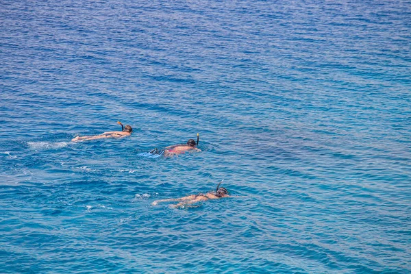 エジプトのシャルム シェイクの紅海のサンゴ礁の上の青い澄んだ海でシュノーケリングをしている若い女の子 旅行やライフスタイルの概念 最上階だ トルコ石の水の中で3人のシュノーケリング — ストック写真