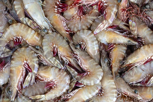 Meeresfrische Garnelen Auf Dem Straßenmarkt Thailand Meeresfrüchte Rohe Garnelen Zum — Stockfoto