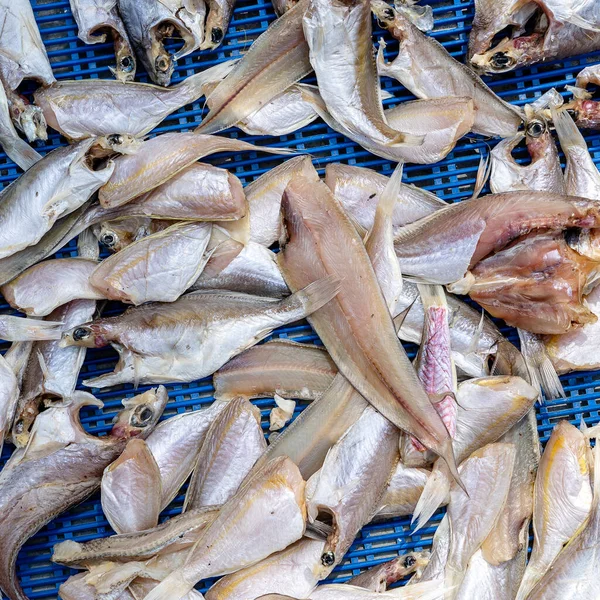 Filé Peixe Marinho Mercado Rua Tailândia Conceito Marisco Filé Peixe — Fotografia de Stock