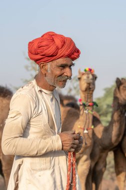 PUSHKAR, INDIA - 14 Kasım 2018: Hindistan 'ın kutsal şehri Pushkar, Rajasthan yakınlarındaki Pushkar Camel Mela sırasında Thar çölünde Hintli erkek ve sürü develeri. Bu fuar dünyanın en büyük deve ticaret fuarı.