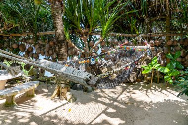 Bahçe, Tayland 'da deniz kenarındaki güzel tropikal sahilde boş hamak. Yaklaş. Yaz kavramı. Tatil seyahati.