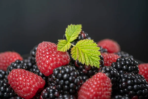 유기농 블랙베리와 라즈베리를 배경으로 배경에는 열매가 많이나 있습니다 블랙베리와 라즈베리 — 스톡 사진