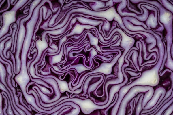 Background Blue Cabbage Cut Macro Photography Close Top View Texture — Stock Photo, Image