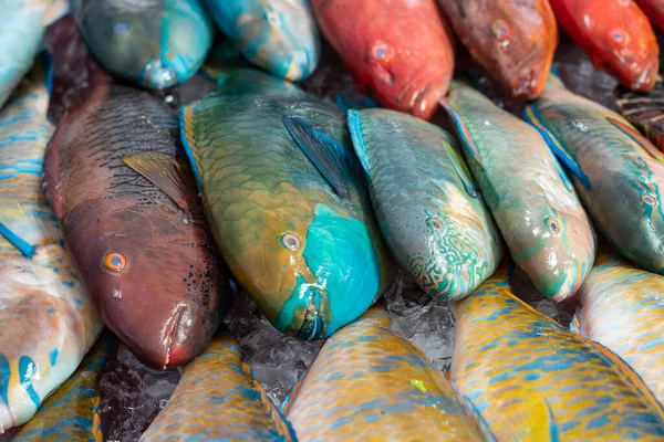 Fresh Sea Fish Sell Street Food Market Kota Kinabalu Island — Stock Photo, Image