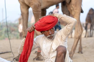 PUSHKAR, INDIA - 14 Kasım 2018: Hindistan 'ın kutsal şehri Pushkar, Rajasthan yakınlarındaki Pushkar Camel Mela sırasında Thar çölünde Hintli erkek ve sürü develeri. Bu fuar dünyanın en büyük deve ticaret fuarı.