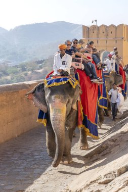 JAIPUR, INDIA - 26 Kasım 2018: Madalyalı filler eski Hindistan 'ın Rajasthan kentindeki Jaipur kentindeki Amber Kalesi' nde turistlere biniyorlar