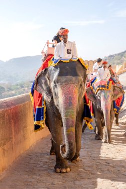 JAIPUR, INDIA - 26 Kasım 2018: Madalyalı filler eski Hindistan 'ın Rajasthan kentindeki Jaipur kentindeki Amber Kalesi' nde turistlere biniyorlar