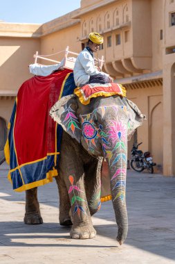 JAIPUR, INDIA - 26 Kasım 2018: Madalyalı filler eski Hindistan 'ın Rajasthan kentindeki Jaipur kentindeki Amber Kalesi' nde turistlere biniyorlar