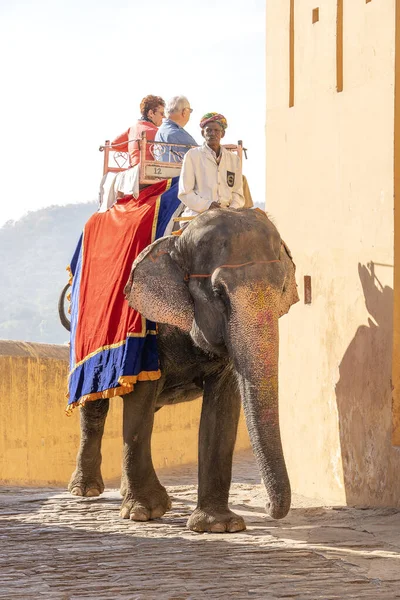 Jaipur India Novembre 2018 Gli Elefanti Decorati Cavalcano Turisti Sulla — Foto Stock