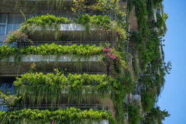 Vietnam 'da Danang şehrinin caddesindeki evin dış cephesinin taş duvarında yeşil bitkiler ve çiçekler olan ekolojik bir binanın ayrıntıları.