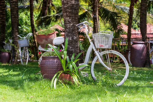 White vintage bike with basket of decorative plants in garden next to tropical beach on the island of Phu Quoc, Vietnam. Travel and nature concept