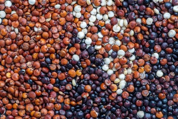 Graines Quinoa Blanches Rouges Noires Sur Fond Gros Plan Vue — Photo