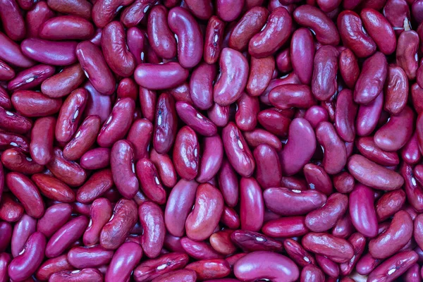 Hintergrund Vieler Körner Getrockneter Bohnen Rote Bohnen Textur Lebensmittel Hintergrund — Stockfoto