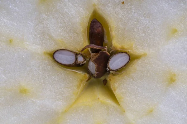 Dela Färskt Äpple Mitten Skiva Apple Center Kärna Och Utsäde — Stockfoto