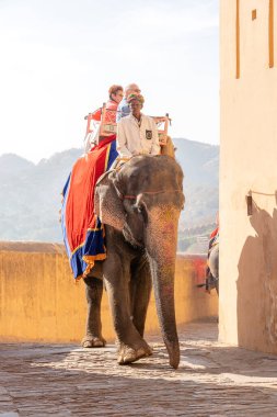 JAIPUR, INDIA - 26 Kasım 2018: Madalyalı filler eski Hindistan 'ın Rajasthan kentindeki Jaipur kentindeki Amber Kalesi' nde turistlere biniyorlar