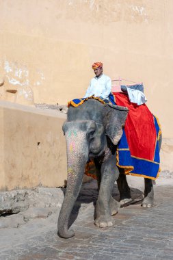 JAIPUR, INDIA - 26 Kasım 2018: Madalyalı filler eski Hindistan 'ın Rajasthan kentindeki Jaipur kentindeki Amber Kalesi' nde turistlere biniyorlar