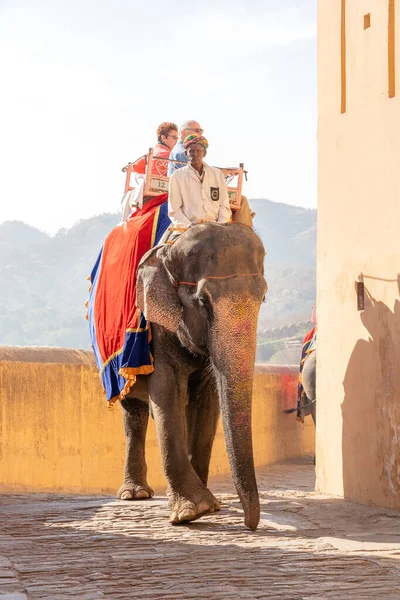 Jaipur Índia Novembro 2018 Elefantes Decorados Montam Turistas Estrada Amber — Fotografia de Stock