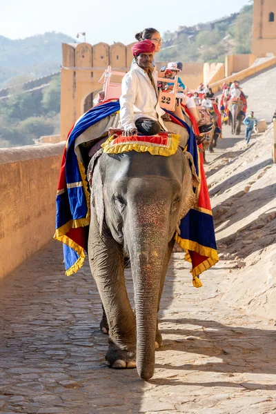JAIPUR, INDIA - 26 Kasım 2018: Madalyalı filler eski Hindistan 'ın Rajasthan kentindeki Jaipur kentindeki Amber Kalesi' nde turistlere biniyorlar