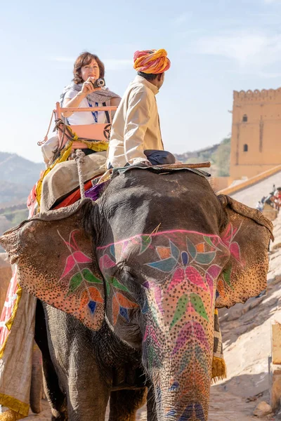 Jaipur India Listopadu 2018 Dekorovaní Sloni Jezdí Turistech Silnici Amber — Stock fotografie