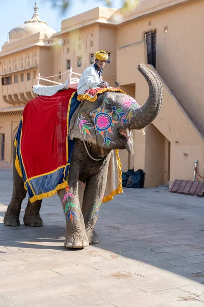 Jaipur India Listopadu 2018 Dekorovaní Sloni Jezdí Turistech Silnici Amber — Stock fotografie