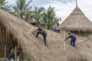 UBUD, BALI, INDONEZYA - 24 Mart 2019: Yerel halk Ubud, Bali, Endonezya 'da yeni bir saman çatısını onarıyor. İnşaat işçileri binanın çatısında çalışıyor.
