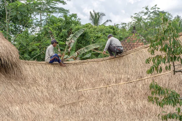 Ubud Bali Indonesia March 2019 Local Men Fixing New Straw — Stock Photo, Image