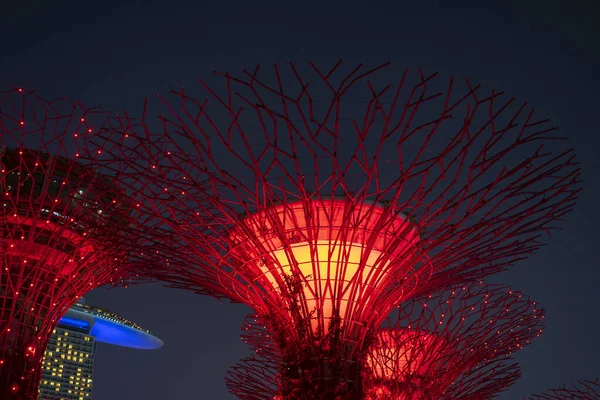 Singapore City Singapore Marca 2019 Super Drzewa Ogrodach Przy Zatoce — Zdjęcie stockowe