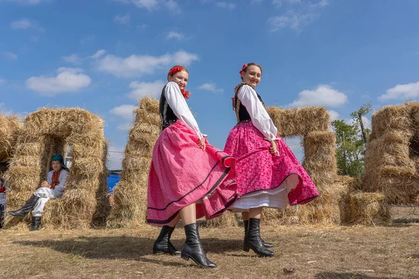 ウクライナのスラフタ 2019年9月22日 民族衣装を着たウクライナの少女がウクライナのスラフタ市で開催されるエスノエコフェスティバルコロダルに参加 — ストック写真