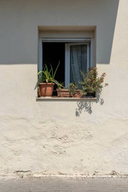Yunanistan 'ın Kos adasındaki beyaz duvarda saksıları olan pencere