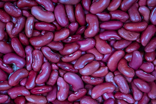 Тлі Багатьох Зерен Сушених Бобів Текстура Червоних Бобів Їжа Фону — стокове фото
