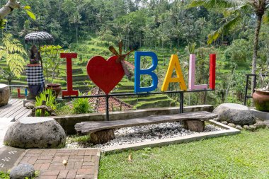Arka planda pirinç tarlalarının yakınındaki Bali 'yi Sevdiğime dair renkli bir işaret. Endonezya, Bali Adası. Kapat.