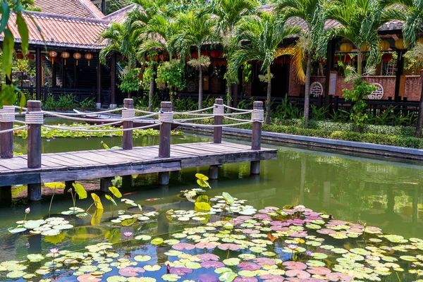 Dřevěné Molo Rybníku Tropické Zahradě Danang Vietnam Cestovní Přírodní Koncept — Stock fotografie