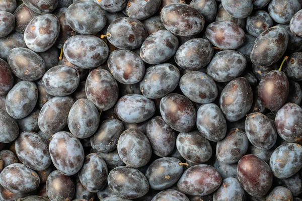 Hel Del Färska Blå Plommon Frukt Textur Bakgrund Färska Blå — Stockfoto