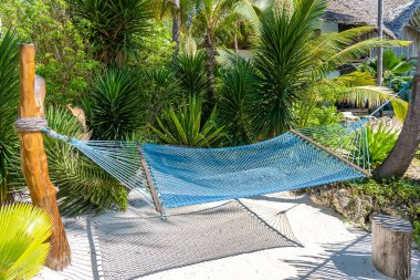 Deniz kenarındaki kumlu sahilde, Zanzibar adasında, Tanzanya 'da, Doğu Afrika' da seyahat ve tatil konsepti arasında asılı duran hamak.