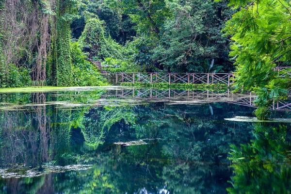 Árboles Tropicales Verdes Lago Con Reflexión Tanzania África Oriental —  Fotos de Stock