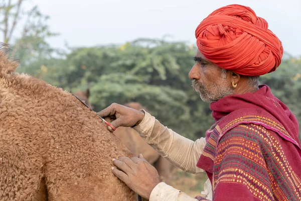 Pushkar India 2018年11月15日 印度拉贾斯坦邦普什卡 Pushkar Camel Mela 附近沙漠中的印度人 这是世界上最大的骆驼交易会 — 图库照片
