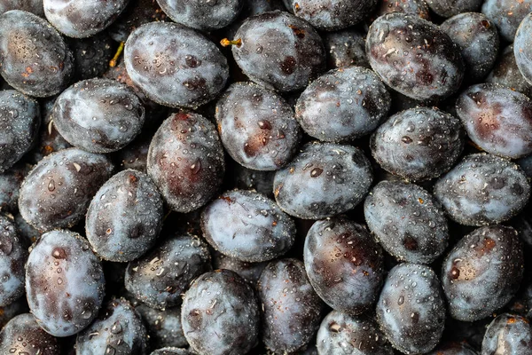 Mucha Fruta Ciruelas Azules Frescas Con Gotas Agua Textura Fondo — Foto de Stock